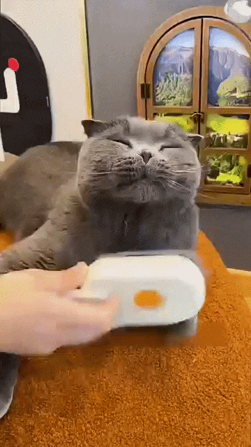 3-in-1 Pet Fur Removal And Massager