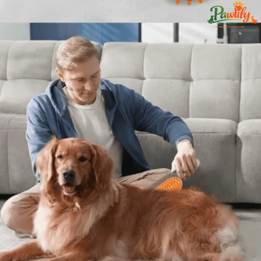 3-in-1 Pet Fur Removal And Massager